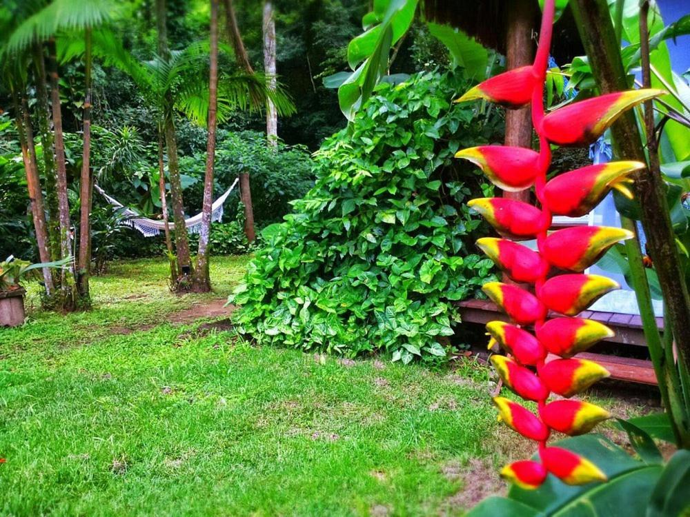 Sumatra Ecolodge Sao Sebastiao  Exterior foto